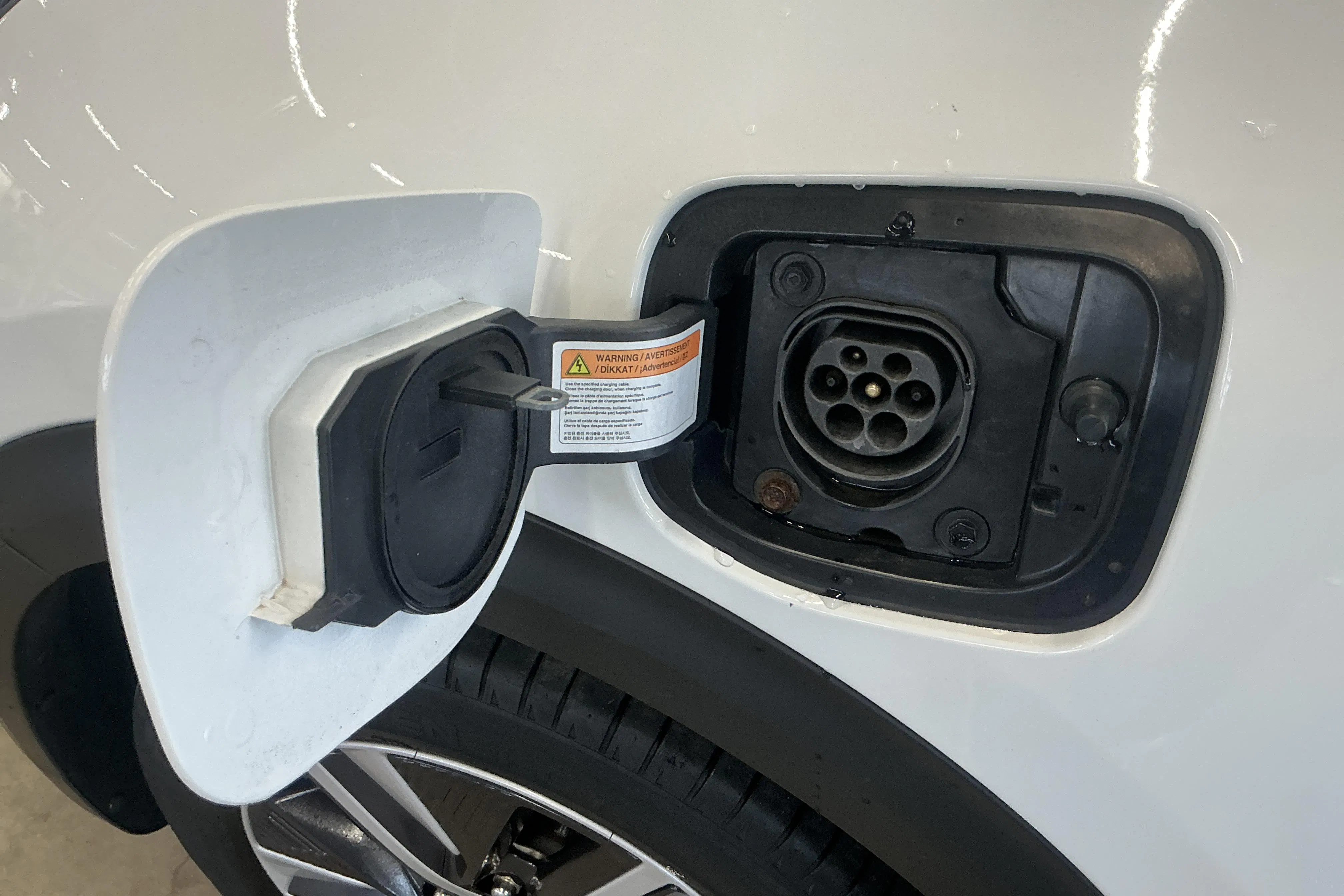 Presentation photo 19 of 19: KIA Niro Plug-in Hybrid 1.6 (141hk) - 98 890 km - Automatic - white - 2021